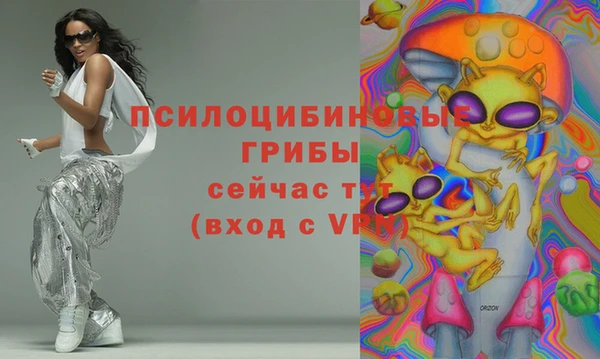 ПСИЛОЦИБИНОВЫЕ ГРИБЫ Балахна