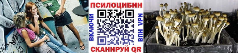Псилоцибиновые грибы Cubensis  наркошоп  Светлоград 