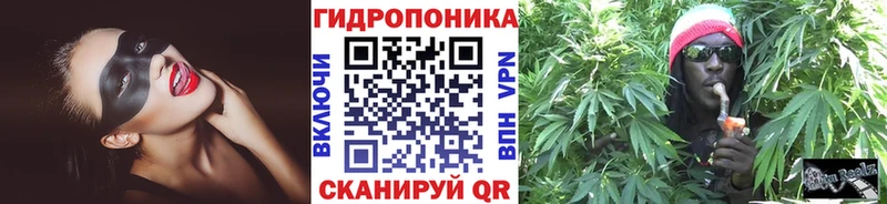 Шишки марихуана семена  цены   дарк нет официальный сайт  Светлоград 